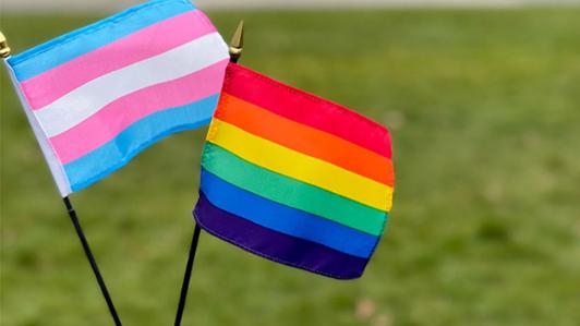 Transgender and LGBTQ flags with a green grass background