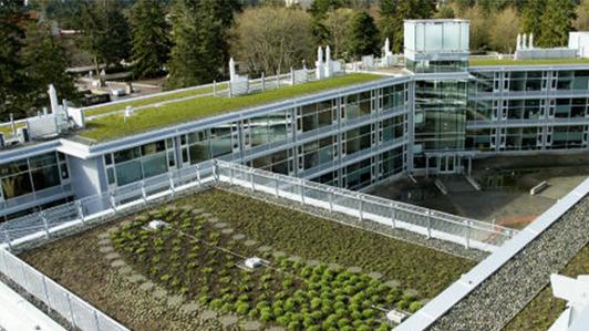 Aerial photo of the David Turpin Building's green roof at UVic