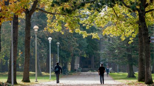 Photo of one of UVic walking paths with trees, lamp posts and three students walking by