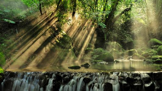 Photo of a small waterfall with sun rays passing through the rainforest
