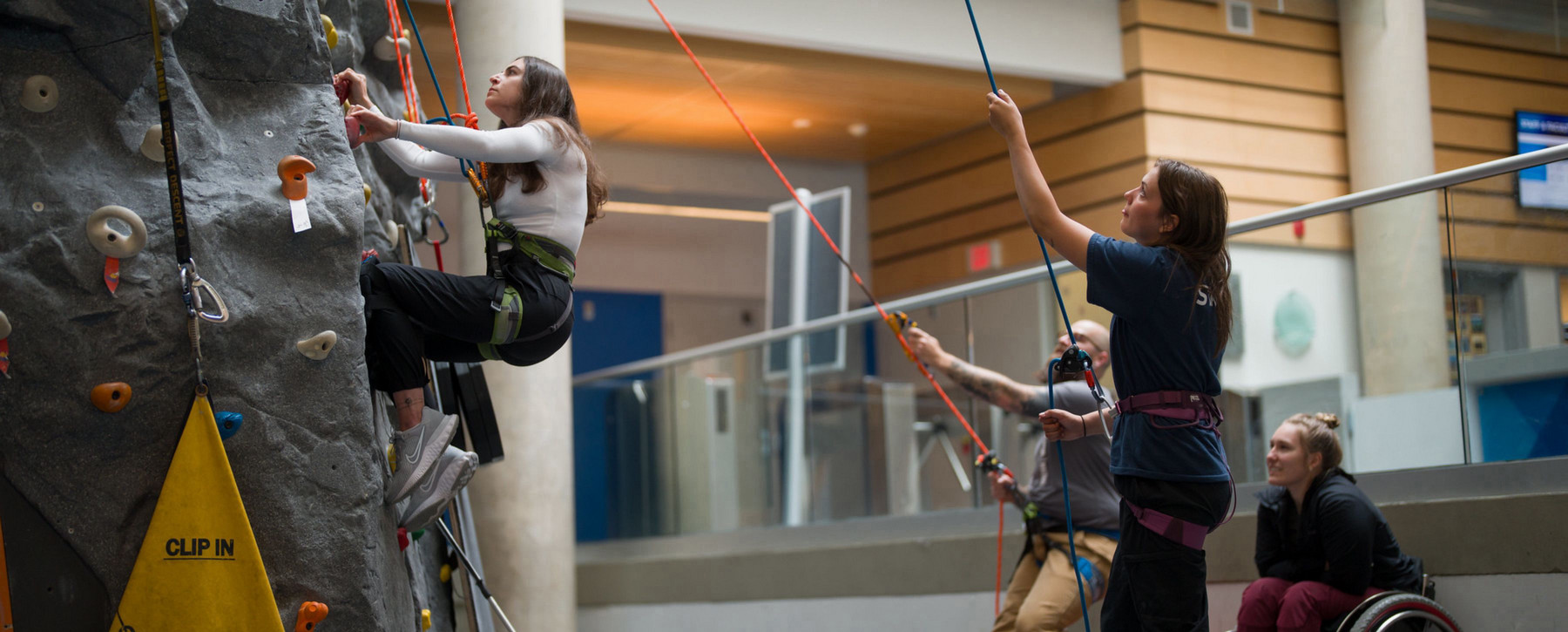 A person climbing on an indoor climbing wall with two people belaying and one person watching in a wheelchair