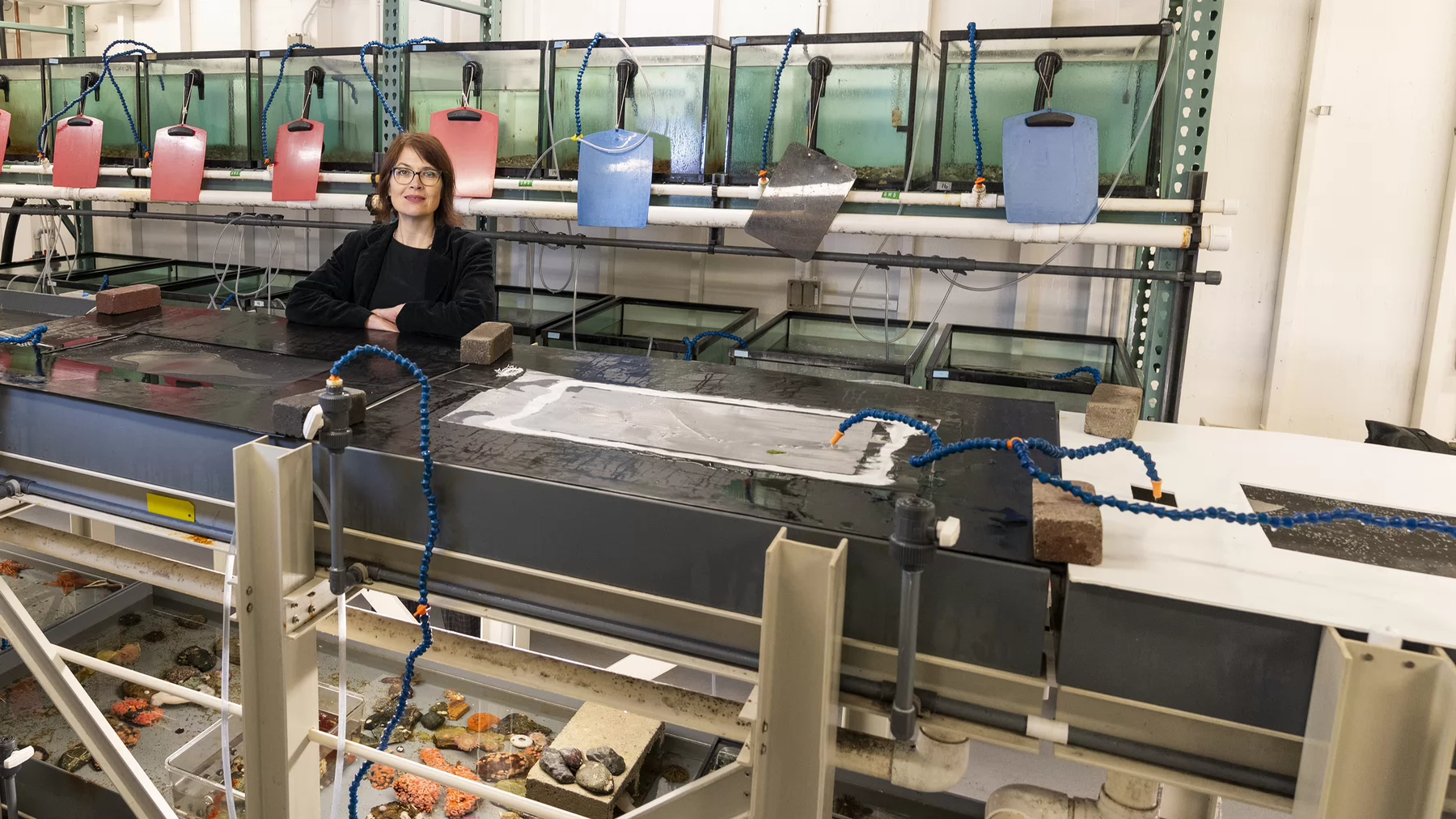 UVic researcher Amanda Bates standing by open fish tanks in a marine research lab. 