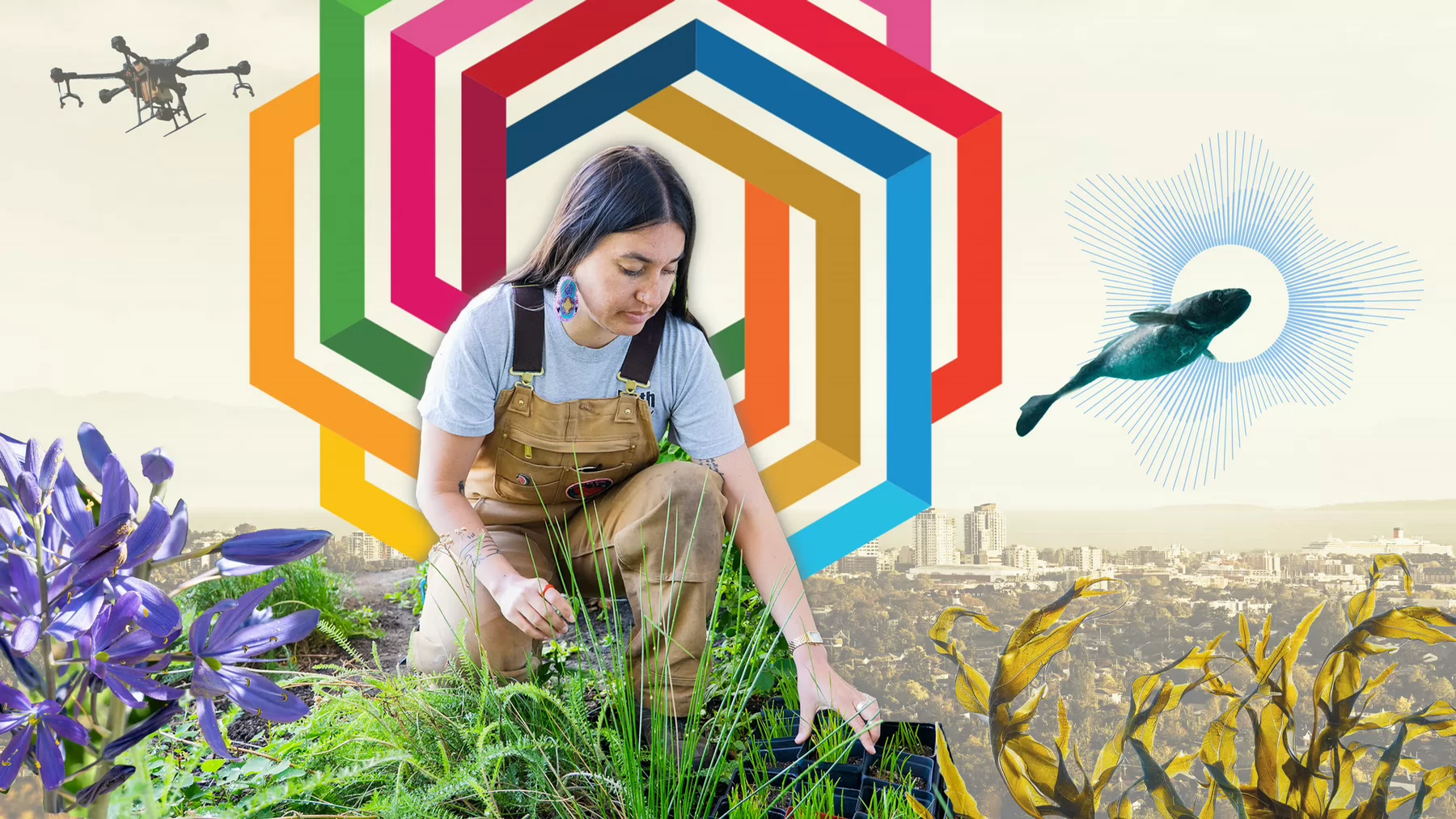 Graphic image featuring a woman working in a garden, a fish, a drone and using colours of the UN SDGs.