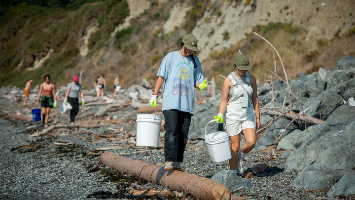 People on a beach with buckets collecting debris.