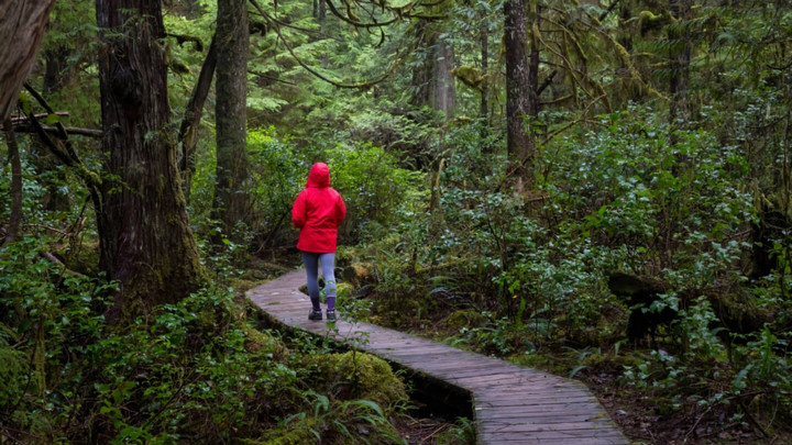 A student walking along a lush forest path, wearing a bright red rain jacket.
