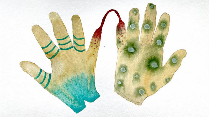 A watercolour painting of a pair of gloves, by Caroline Boileau