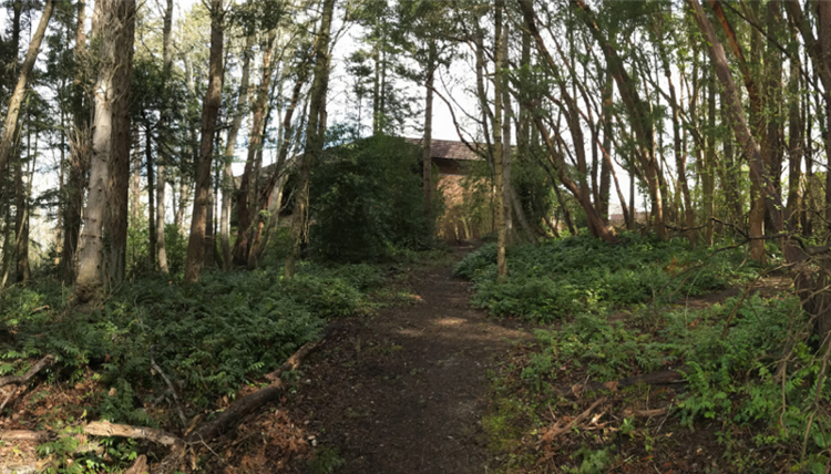 The Fraser Building from the perpective of the South Forest