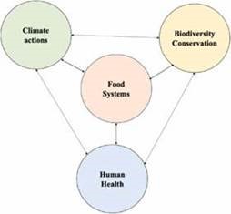 The Climate Biodiversity Health Framework