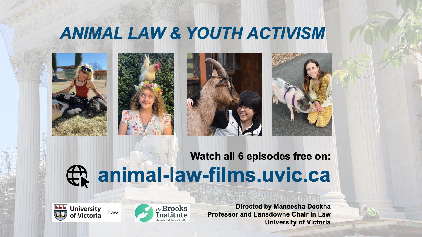 Animal Law & Youth Activism - documentary series