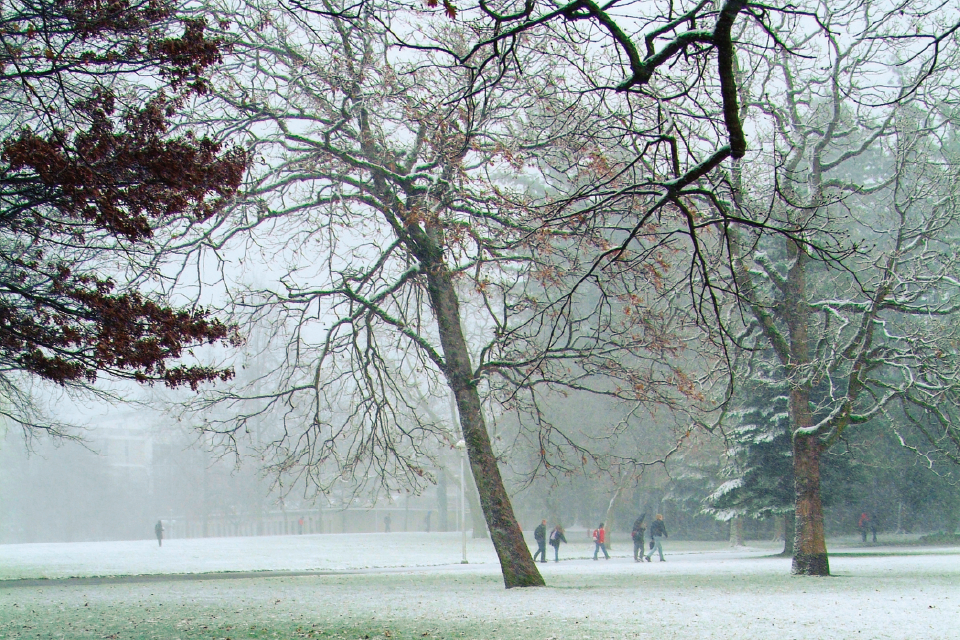 snowy-campus