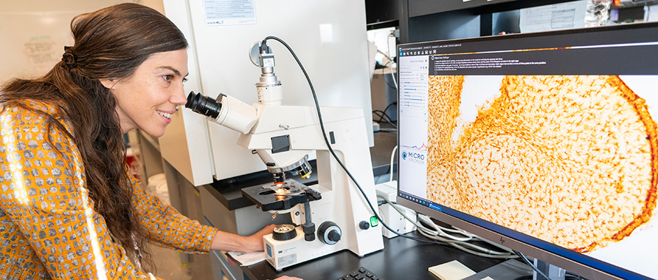 UVic professor and Canada Research Chair Marie-Ève Tremblay uses AI in her globally recognized research on microglia.