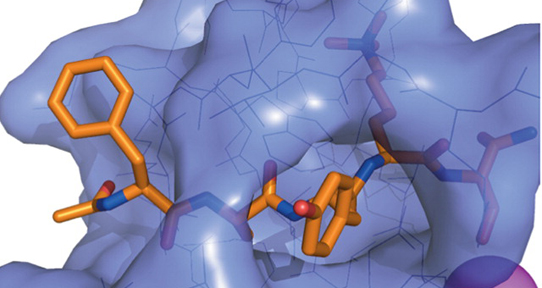 Chromodomain antagonists that target the polycomb-group methyllysine reader protein chromobox homolog 7 (CBX7)