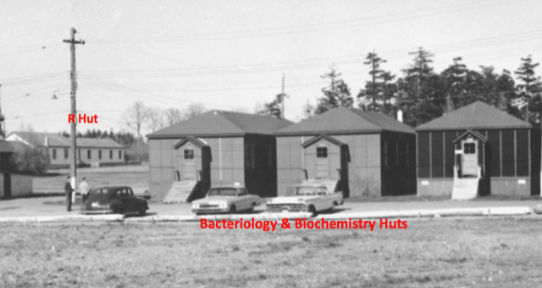 R Hut(now home to IALH and the UVRA office), circa 1963, before Ring Road was built.