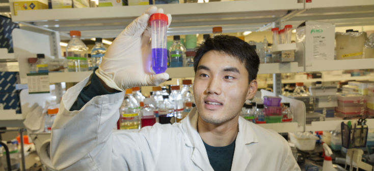 Biochemistry co-op student of the year and cancer researcher Paul Kim in the lab.