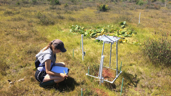 An ES undergraduate student documenting nature during field day at Burns Bog