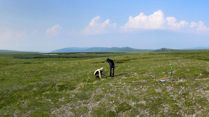 Grad students in the field at the Arctic Landscape Ecology Lab