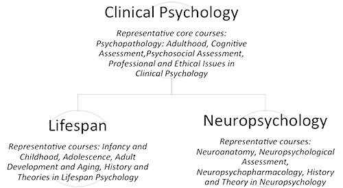 Clinical psychology overview