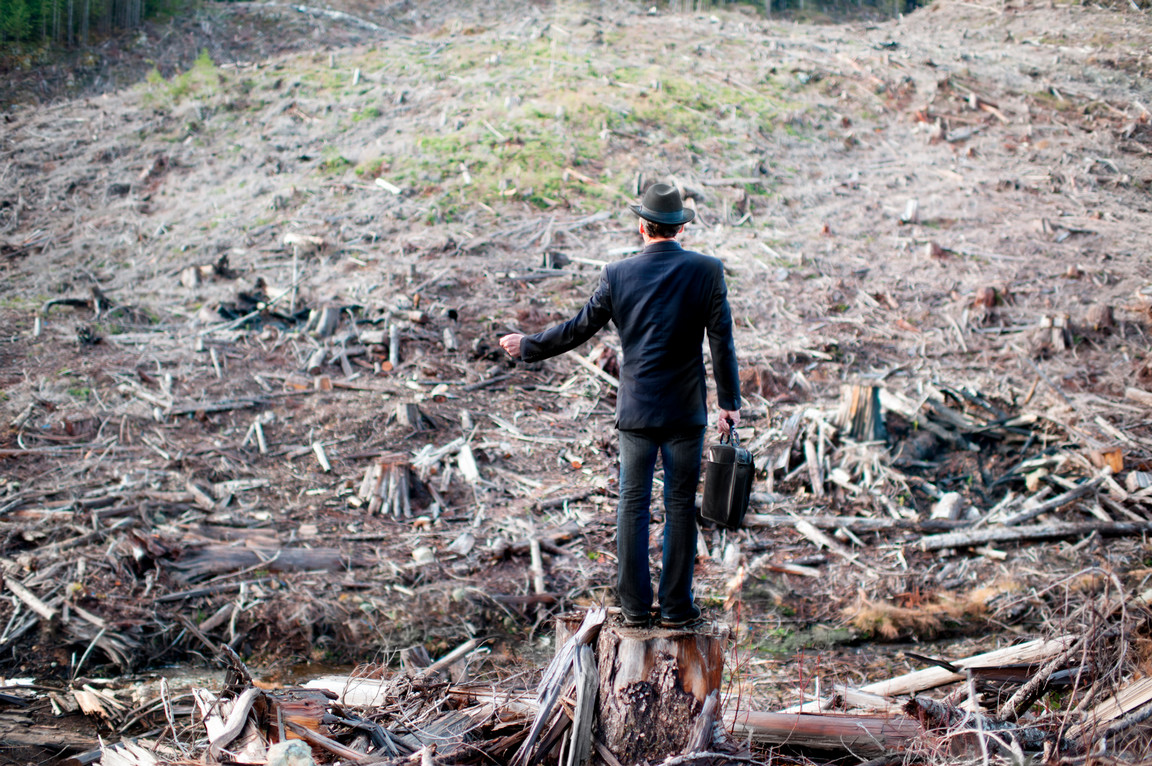 Man standing in clear cut forest