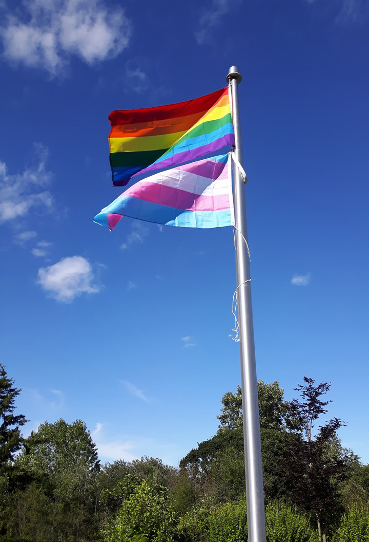 LGBTQ+ and Trans pride flags