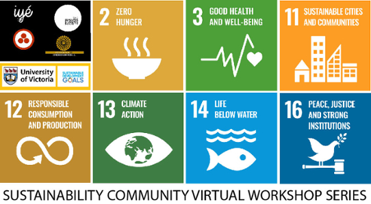 SDGs 2,3,11,12, 13,14, 16 were discussed in the Sustainability Community Virtual Workshop Series