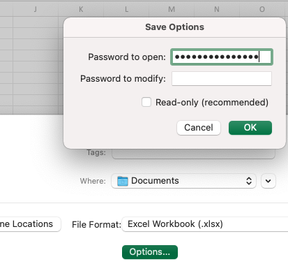excel for mac read only button